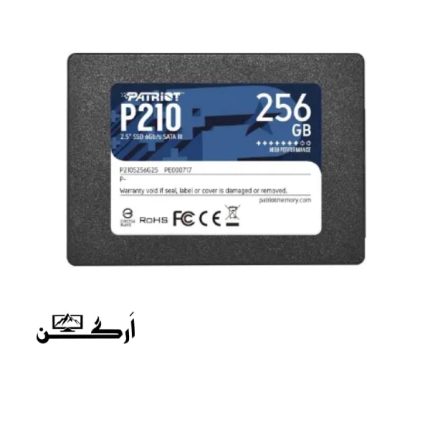 اس اس دی پاتریوت مدل P210 256GB