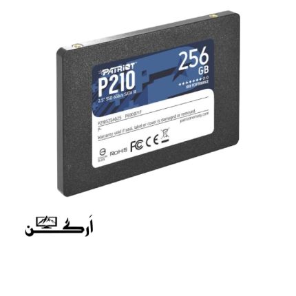 اس اس دی پاتریوت P210 256GB